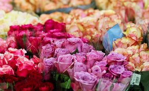 В Чистополе мошенник взломал сайт цветочного магазина и украл 79 букетов на 3 млн рублей