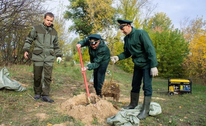 Средняя зарплата работников леса в Татарстане составляет 31 413 рублей