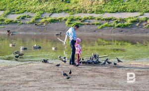 Российские мужчины становятся отцами в среднем в 29 лет