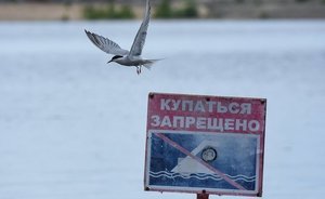 Минниханов поручил создать пляжи в рамках программы по благоустройству общественных пространств