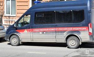 СК: в Татарстане во время охоты на лося застрелили охотника из Ульяновска