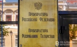 Прокуратура Альметьевска направила представление главе исполкома из-за нападения собак на женщину
