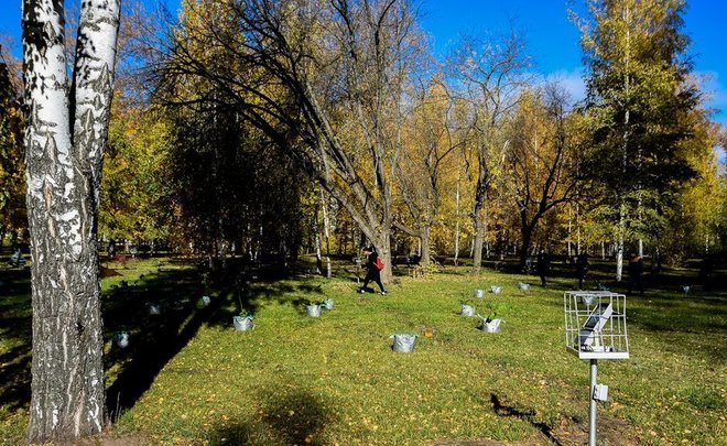 Профессор КФУ рассказал о комфортной погоде на праздники в Казани