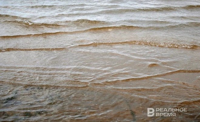 Экологи заподозрили казанский исполком в загрязнении озера Светлого