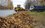 10 КАМАЗов листвы вывезли сотрудники ТАИФ-НК с улицы Лесной в Нижнекамске