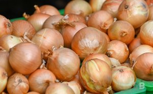 В Татарстане увеличили норматив дохода по продаже продуктов со своего огорода