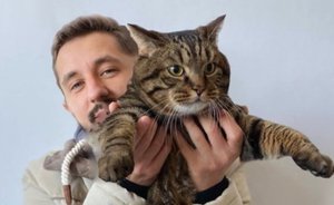 «Ак Барс Страхование» подарило толстому коту Виктору годовой полис с консультацией по питанию