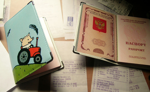 В России пошлины на водительские права могут вырасти до 3000 рублей, а на загранпаспорта — до 5000 рублей