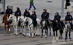 УМВД по Казани закупит для служебных лошадей почти 70 тонн овса и сена