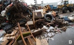 Глава Росприроднадзора рассказала об экологических нарушениях в России