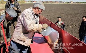 В Минсельхозпроде Татарстана заверили, что население и предприятия обеспечат зерновыми