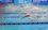 Пловец Климент Колесников установил мировой рекорд на Кубке России в Казани