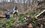 На уничтожение борщевика Сосновского в Высокогорском районе Татарстана выделят 6,4 млн рублей