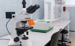 Роспотребнадзор изучит распространение COVID-19 среди ВИЧ-положительных пациентов