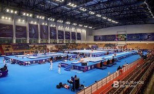 Индия хочет направить на Игры БРИКС в Казани в два раза больше спортсменов, чем на Азиатских играх