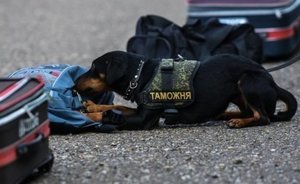 В Татарстане мужчина собирался незаконно перевезти монету времен Екатерины II через границу