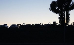 В Нижнекамске выявили повышенную концентрацию аммиака и ксилола в воздухе