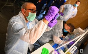 Эксперт: распространение оспы обезьян в Европе и Северной Америке может быть вызвано новым штаммом инфекции