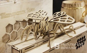 Депутаты Татарстана хотят обязать пчеловодов строить пасеки по новым правилам