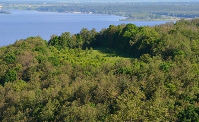 В Татарстане до 15 июля ожидается высокий класс пожарной опасности в лесах