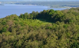 В Татарстане до 15 июля ожидается высокий класс пожарной опасности в лесах