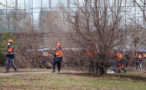 АО «ТАИФ», турецкая компания Enka и «ПАРК-Сервис» наводят порядок в Фуксовском саду