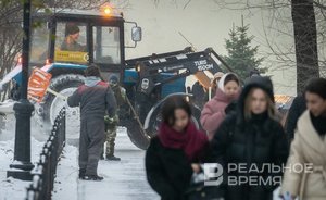 Департамент продовольствия и социального питания Казани потратит почти 3 млн рублей на уборку снега