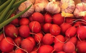 В условиях кризиса в Татарстане будут организовывать ярмарки