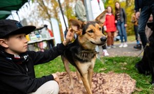В казанских поселках скоро начнут работать бесплатные мобильные пункты вакцинации собак