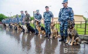 МВД по Татарстану закупит для служебных собак 48 тонн сухого корма