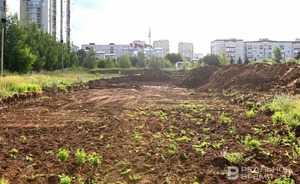 Президент России поручил ускорить выпуск документов для строительства деревянных высоток