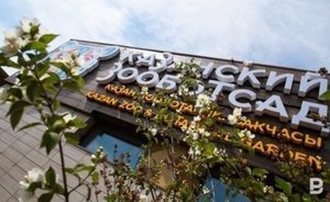 Завтра в Казани откроется зоопарк «Река Замбези»