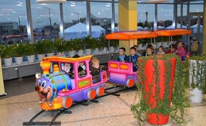 Предпринимателей из Казани стал чаще интересовать бизнес в сфере развлечений