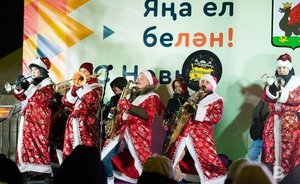 В Казани перед Новым годом вырос спрос на услуги Деда Мороза и чистку мягкой мебели