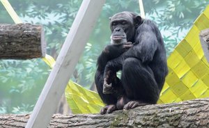 В мэрии Казани рассказали, как городской зоопарк готовит животных к зимовке