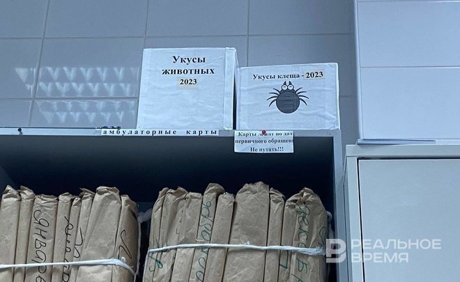 Сезон клещевых инфекций в Татарстане завершился — пострадали 9,8 тысячи человек
