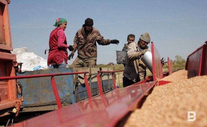 В Татарстане 13 районов начали заготовку кормов