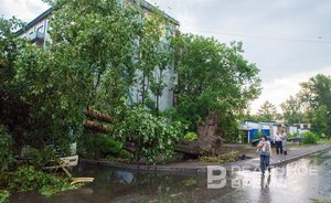 Татарстанцев предупредили о грозе, граде, сильном ветре и дожде 22 июля