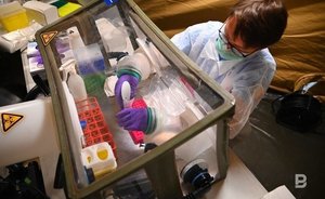 Британские ученые считают, что от следующего штамма COVID-19 может умереть больше людей