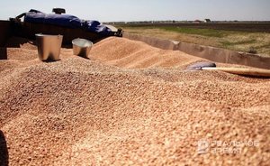 Итоги дня: второй теракт на Крымском мосту, остановка зерновой сделки, вандализм на кладбище в Татарстане