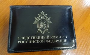 Следком: в Бавлах убивали собак, списывая деньги на стерилизацию