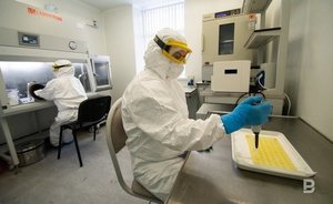 В России разработали тест, выявляющий четыре распространенные мутации коронавируса