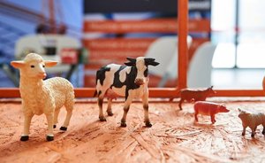 В Татарстане продолжает сокращаться поголовье крупного рогатого скота