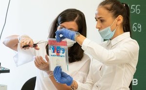 В Казани 100 баллов на ЕГЭ получил 41 ученик