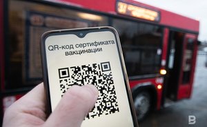 В Госдуме перенесли обсуждение по поводу введения QR-кодов