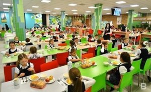 На организацию питания в детсадах и школах четырех районов Татарстана потратят 281 млн рублей
