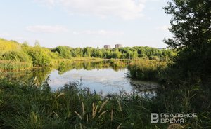 Парки Горького и Победы в Казани временно лишатся статуса охраняемых объектов