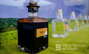 В Казани презентовали первую в мире монографию по теме каталитического подземного облагораживания нефти