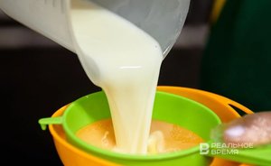 Татарстан по темпу роста производства молока в ПФО уступил двум республикам