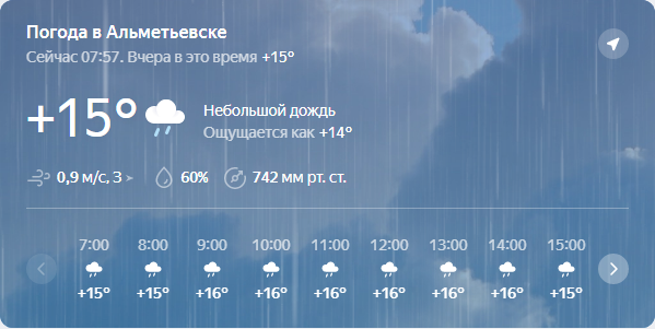 Погода в альметьевске на 14 дней